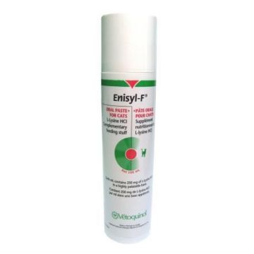 Enisyl-F pasta kissalle 100 ml