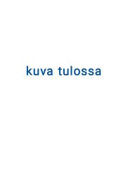 BIORION RUSKEA HOITOAINE 250 ML